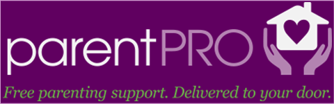 Parent Pro Logo