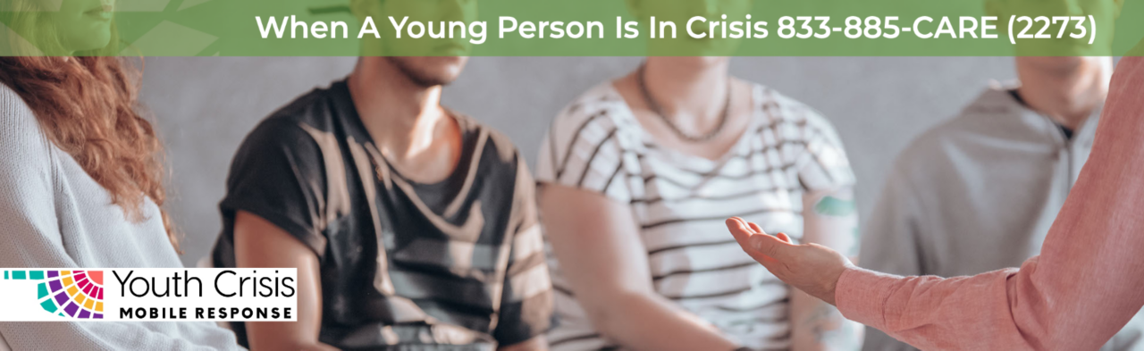Youth Crisis Website