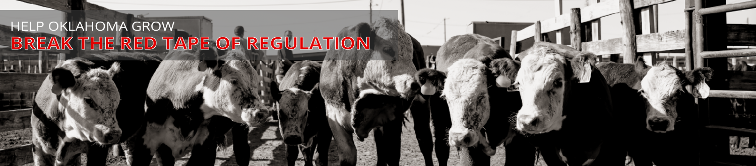 Help Oklahoma grow break the red tape of regulation