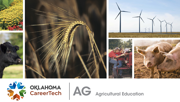 Agricultural Education Website Banner consists of 5 images: yellow wildflowers, Black Angus cow standing in a pasture, wheat waving in the wind, a row of wind turbines on open land, mother and son working on a farm tractor, and 2 pigs on a farm