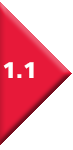 red1.1 red1.1