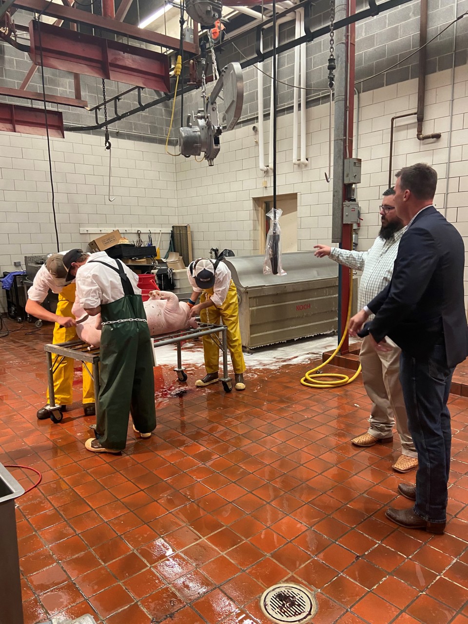 Governor Stitt touring a pig processing plant.