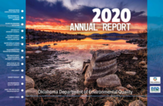 2020_Annual Report.pdf