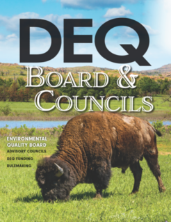 DEQ-Board-and-Councils-2021.pdf