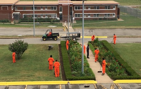 Inmates at Jess Dunn Correctional Center wearing orange uniforms while working in the yard.