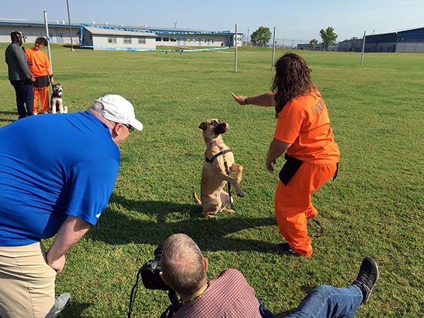 Annie, who's the Guardian Angels Program's official mascot.