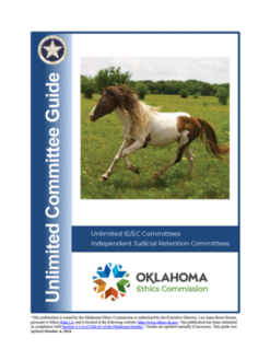 Unlimited Committee Guide: IE/EC and Independent Judicial Retention