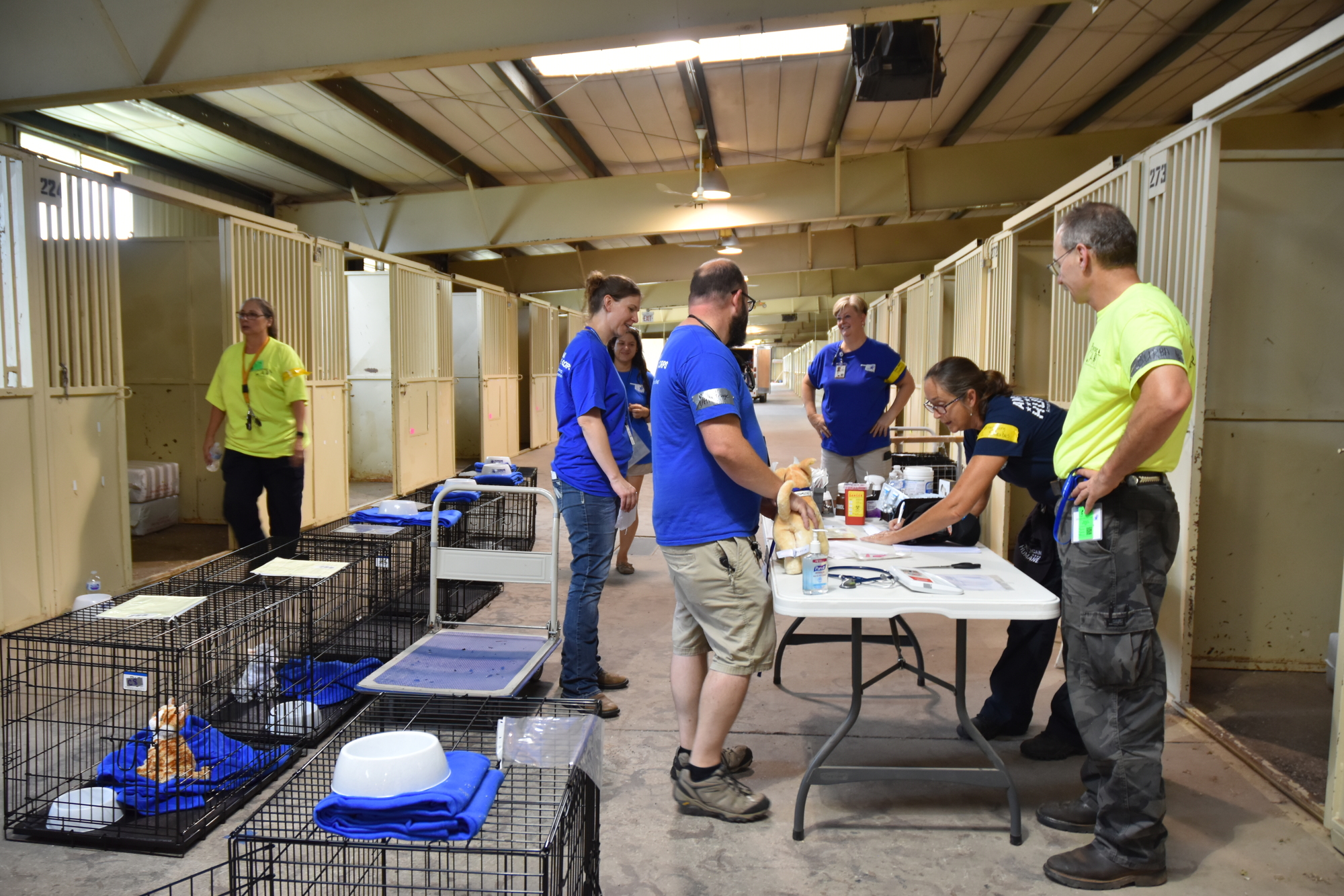 volunteers practice establishing a shelter for small animals