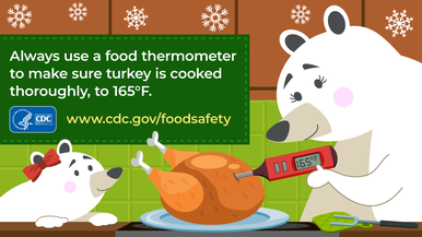 Holiday food safety