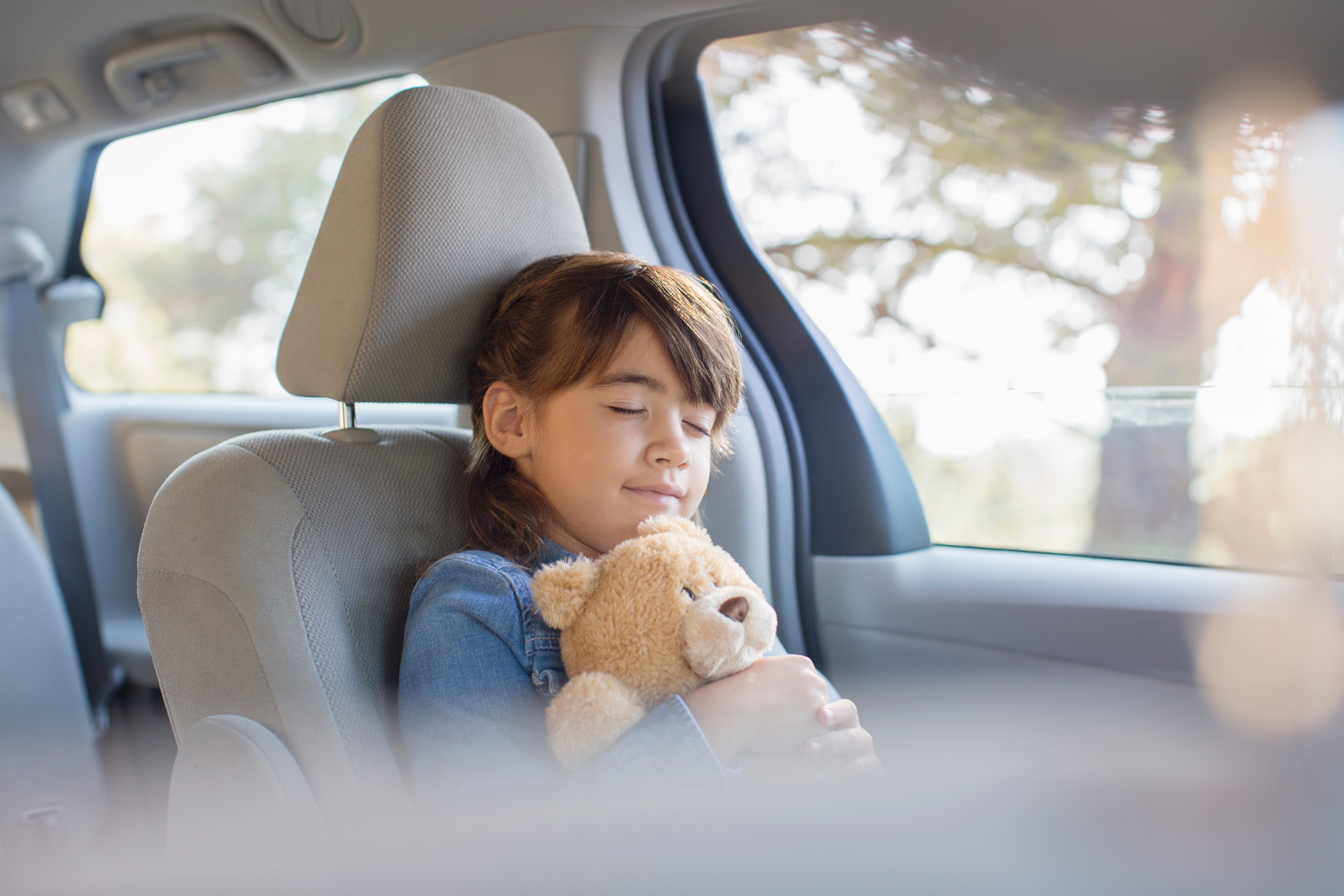 Girl with teddy bear sleeping in back seat of car