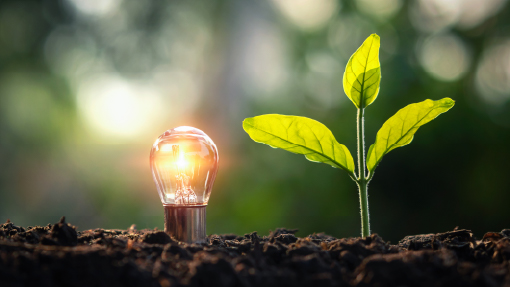 lightbulb-and-seedling-in-soil-with-a-blurry-background