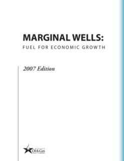 Marginal Well Report (2007)