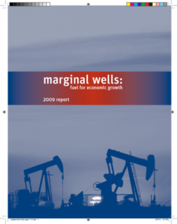 Marginal Well Report (2009)