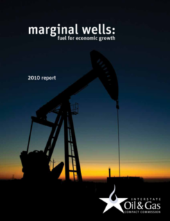 Marginal Well Report (2010)