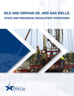 Idle and Orphan Oil and Gas Wells: State and Provincial Regulatory Strategies (2020)