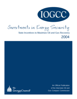 Investment in Energy Security State Incentives 2004