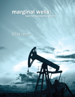 Marginal Well Report