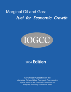 Marginal Well Report 2004