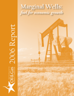 Marginal Well Report 2006