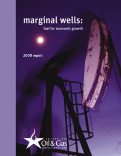 Marginal Well Report 2008