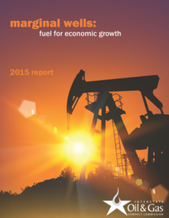 Marginal Well Report 2015