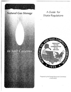 Natural gas storage in salt_caverns a guide for state regulators 1995