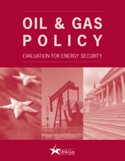 Oil and gas policy evaluation for energy security 2007