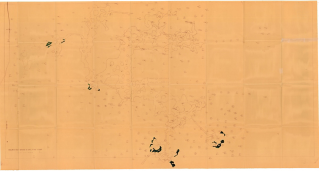 goldenrod-9-29-29n-23e copy.jpg