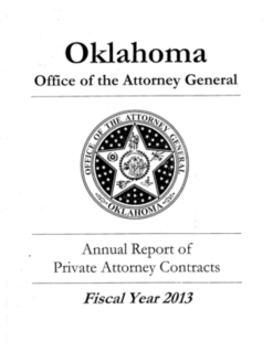 2013 20i Annual Report