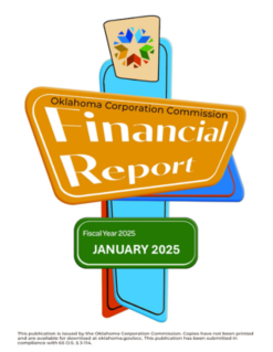 01. Monthly Financial Report January 2025