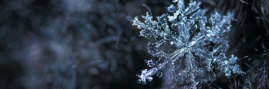 Winter Weather Snowflake Photo by Egor Kamelev