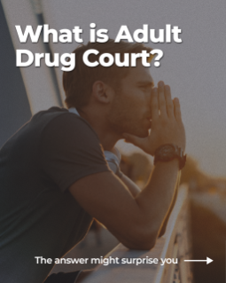 1. Adult Drug Court.png