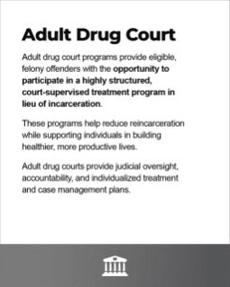2. Adult Drug Court.png