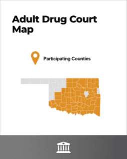 3. Adult Drug Court.png