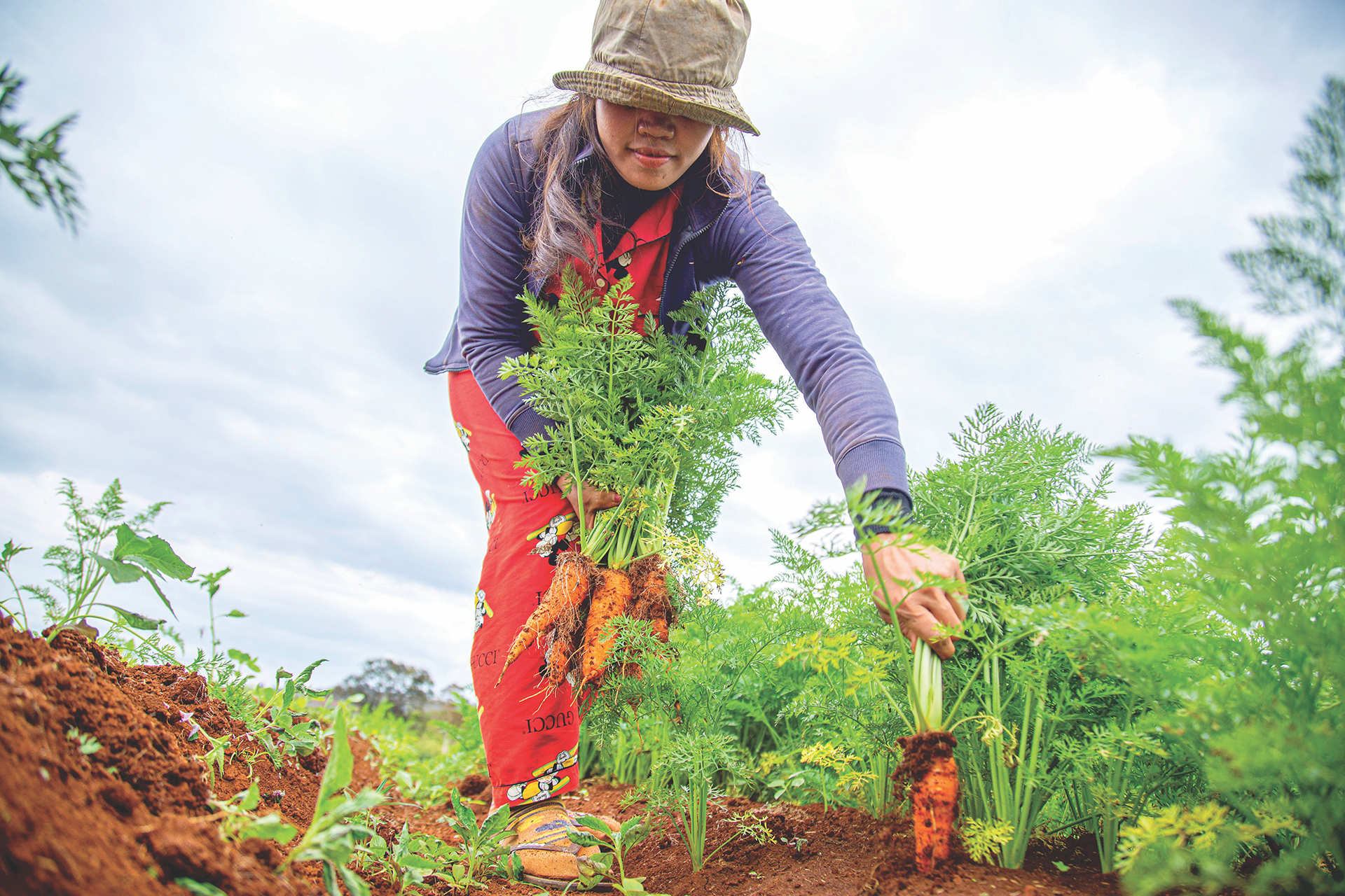 farm-worker