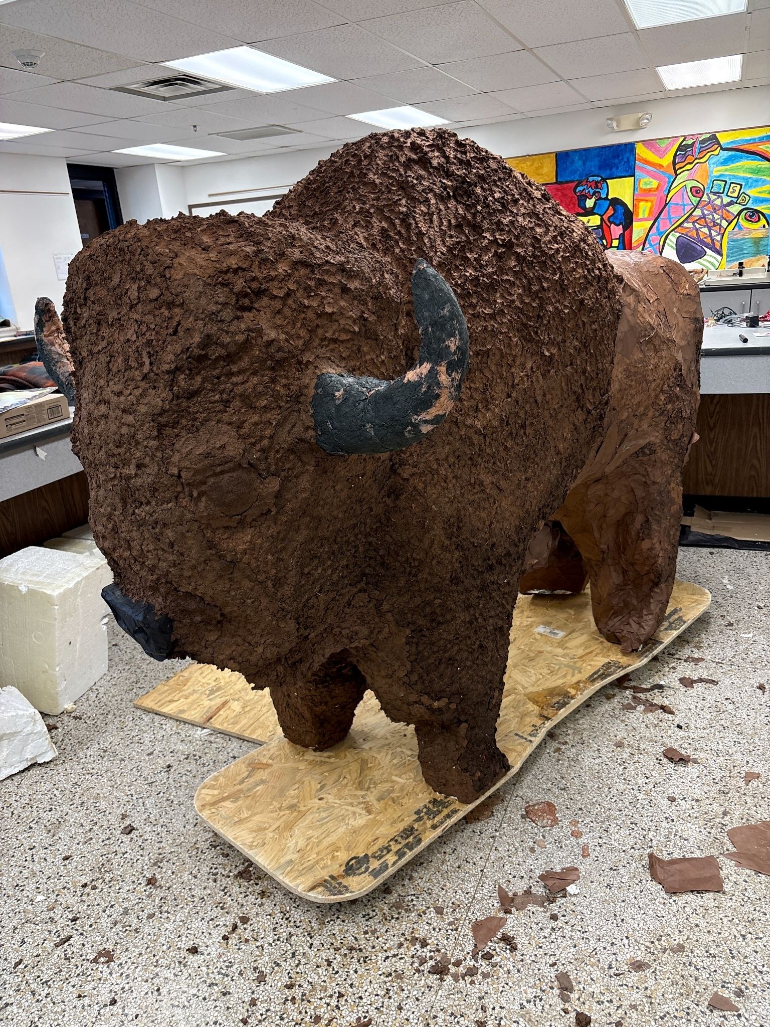 Bison Project photo