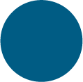 Blue circle icon