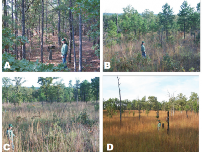 Diagram showing four fire-frequency categories for land management: A = no burn, B = three-year burn, C = two-year burn, D = annual burn” — based on the “Burn frequencies” list.