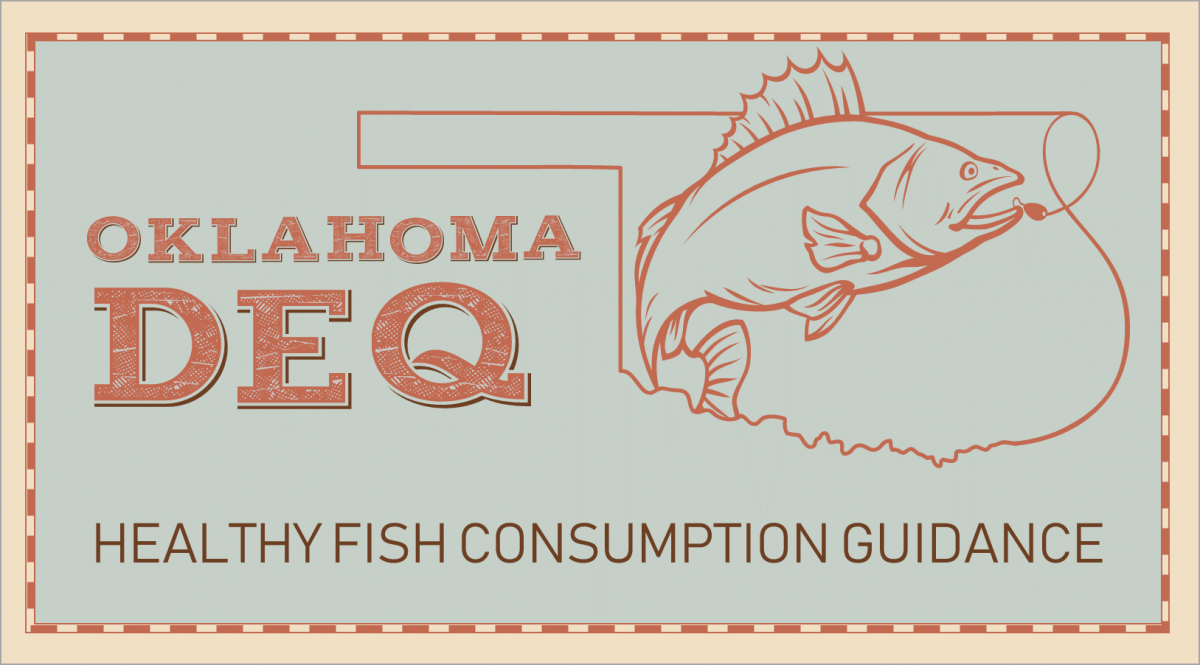 Mercury in Fish Consumption Guide