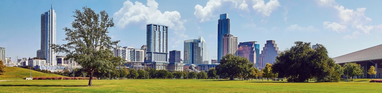 City landscape behind green park setting