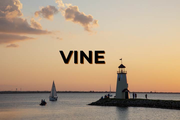 Visit Vinelink