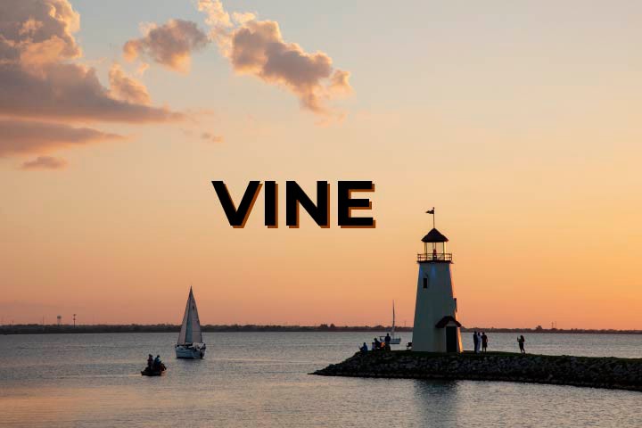 Visit Vinelink