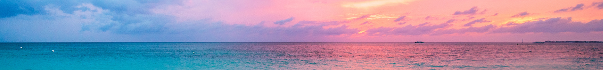 Golden sunset across a wheat field with a windmill in the distance