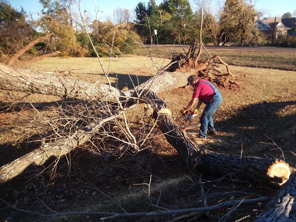 Harrah Church Program Highlight - Man using a chainsaw to cut through a fallen tree Harrah Church Program Highlight - Man using a chainsaw to cut through a fallen tree