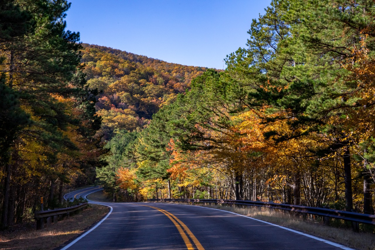 Two lane road with a double yellow line in the middle winding through trees that have turned yellow, orange, and red in the fall.