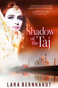 Shadow of the Taj book cover