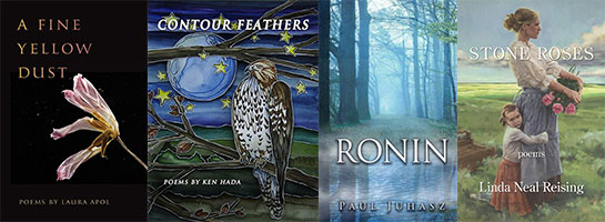 Book Covers for 4 finalists