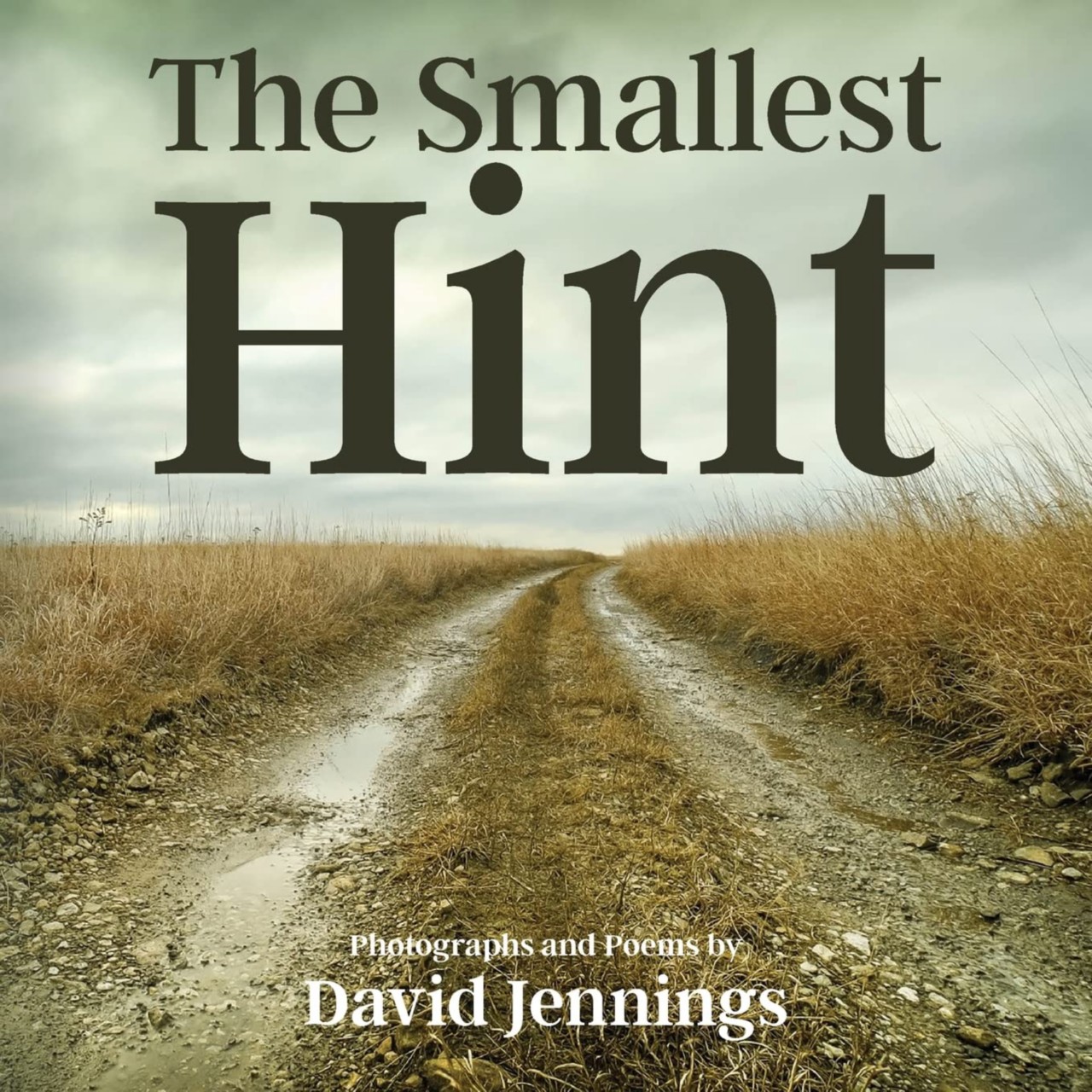 The Smallest Hint: Photographs and Poems photographs by David Jennings