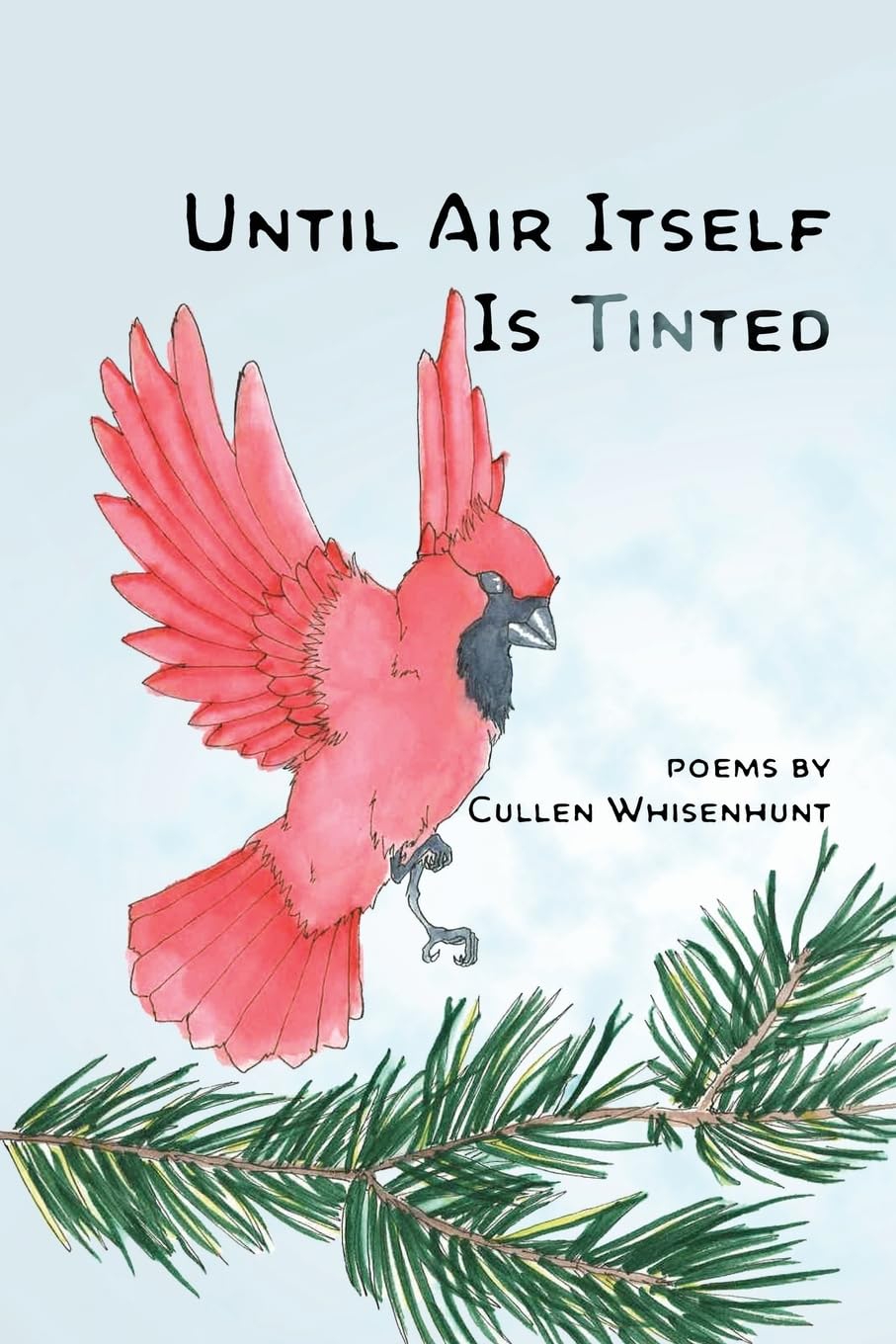 Until Air Itself Is Tinted – Cullen Whisenhunt (Turning Plow Press)