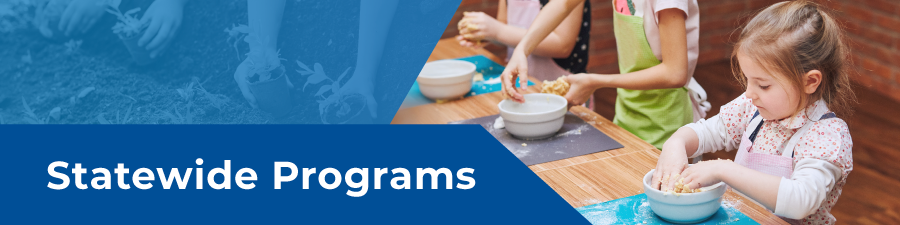 Statewide Programs